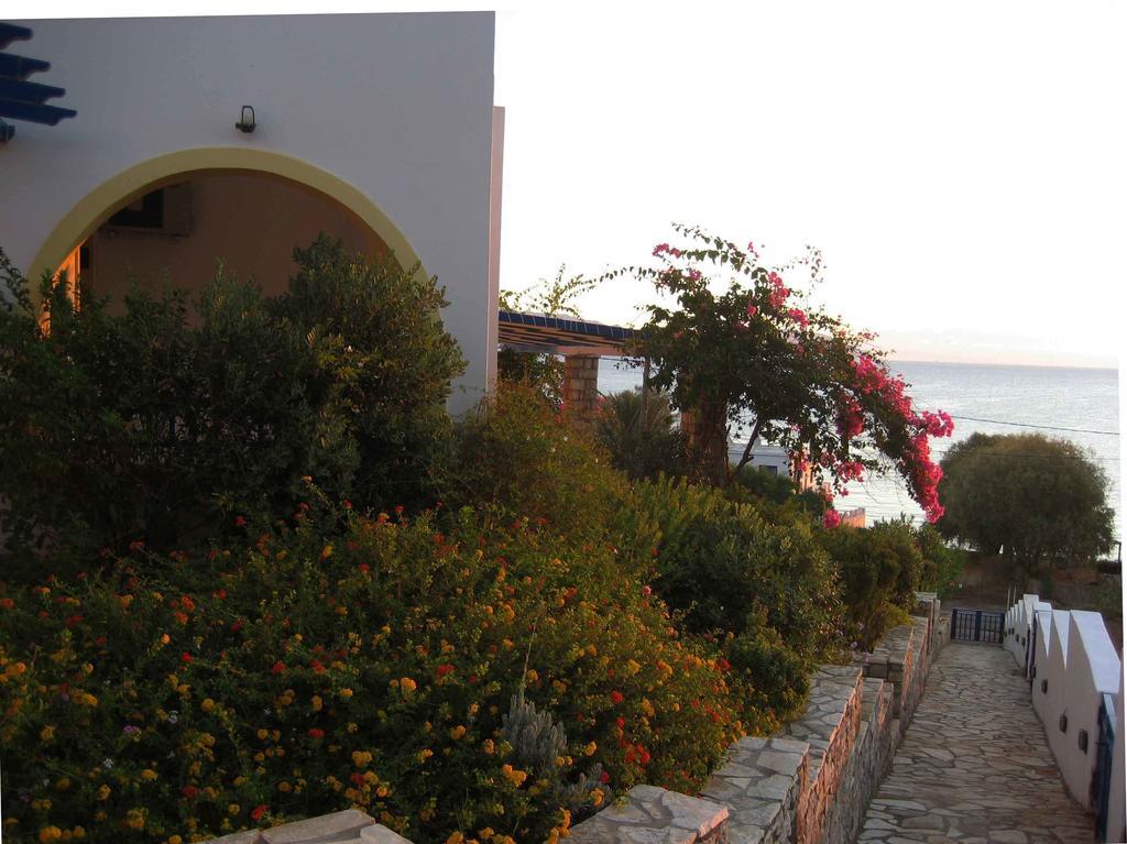 Fyri Ammos Residences Agia Pelagia  Номер фото